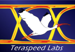 Teraspeed Labs