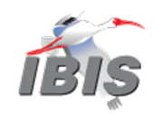 IBIS_logo